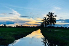 Sunset on the Rice Fields