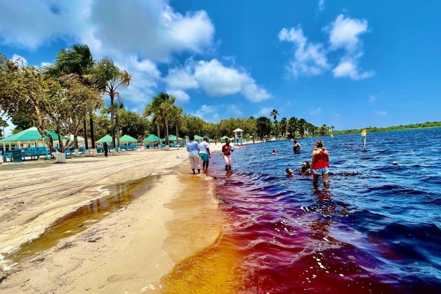 Essequibo Lakes (Lake Capoey & Mainstay)